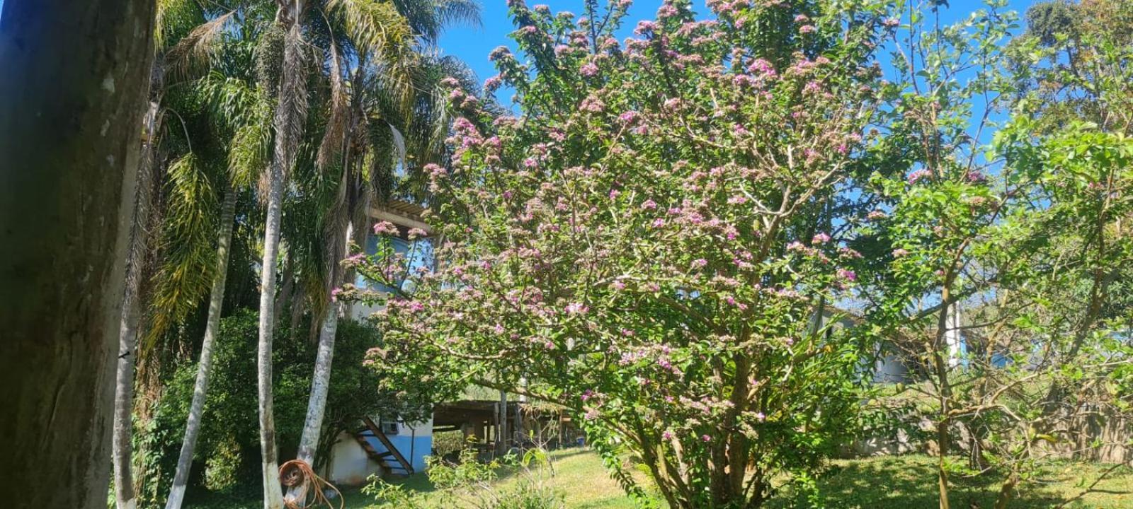 Villa Sitio Ilha Da Madeira São Roque Esterno foto